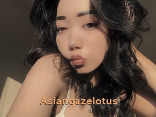 Asiangazelotus