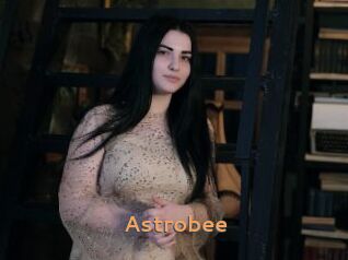 Astrobee