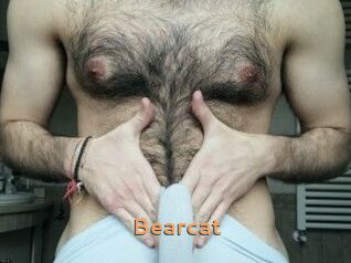 Bearcat
