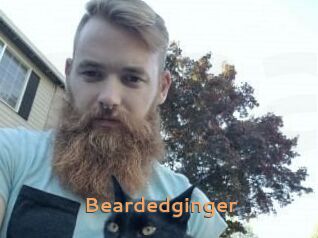 Beardedginger