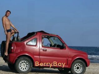 BerryBoy