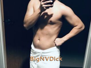 BigNVDick