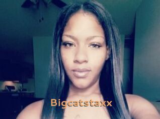 Bigcatstaxx