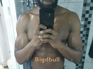 Bigdbull