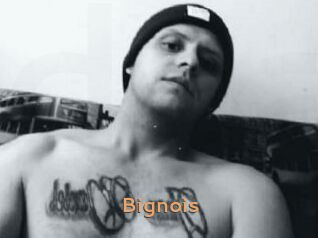 Bignois