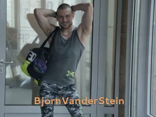 BjornVanderStein