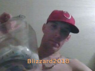 Blizzard2018