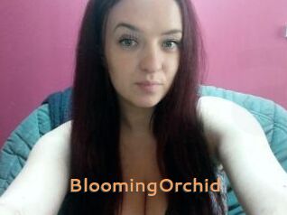 BloomingOrchid