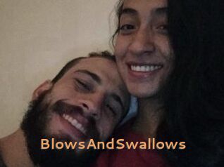 BlowsAndSwallows