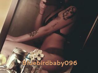 Bluebirdbaby096