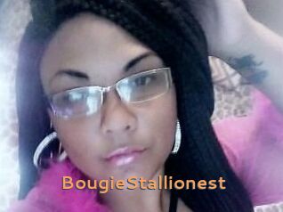 BougieStallionest