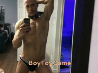 BoyToyGame