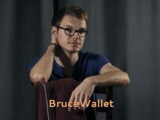 BruceWallet