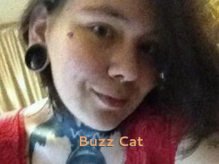 Buzz_Cat