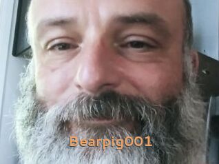 Bearpig001