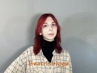 Beatrixbigge