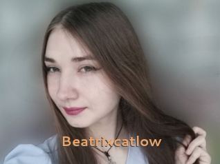 Beatrixcatlow