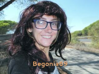 Begonia69