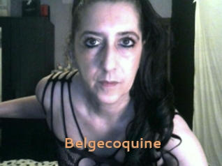 Belgecoquine