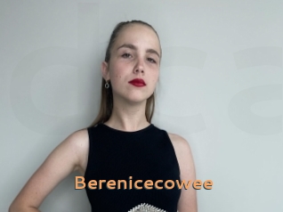 Berenicecowee
