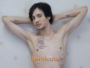 Bernicute