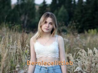 Berniecelittleb
