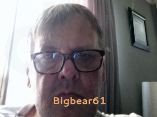 Bigbear61