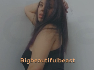 Bigbeautifulbeast