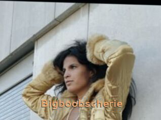 Bigboobscherie