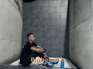 Bigboss22