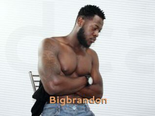 bigbrandon Du Cul A Gogo