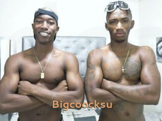 Bigcoocksu
