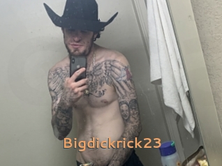 Bigdickrick23
