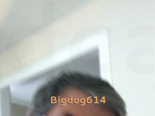 Bigdog614