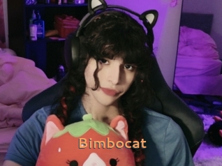 bimbocat Du Cul A Gogo