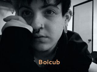 Boicub