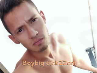Boybig_dick22cm
