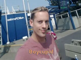 Boycupid