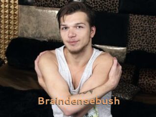 Braindensebush