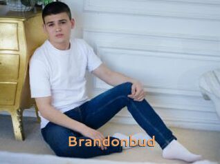 Brandonbud