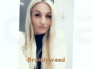 Brandyweed