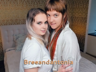 Breeandantonia