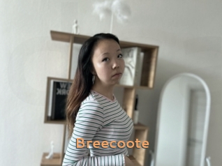 Breecoote