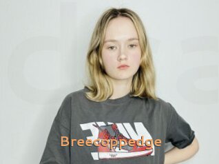 Breecoppedge