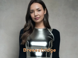 Breeestridge