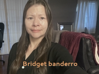 Bridget_banderro