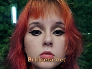 Bridgetarnet