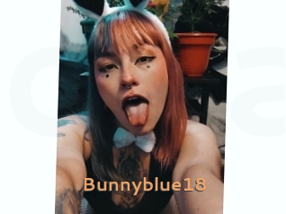 Bunnyblue18