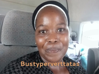 bustyperverttatas Du Cul A Gogo