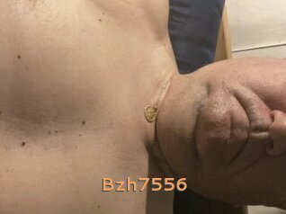 Bzh7556